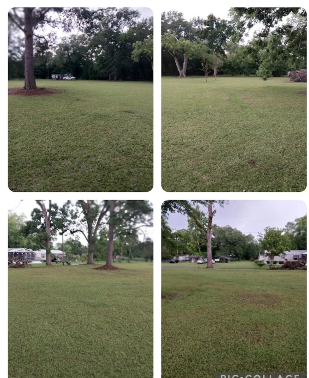 Large residential yard mowed with mature trees