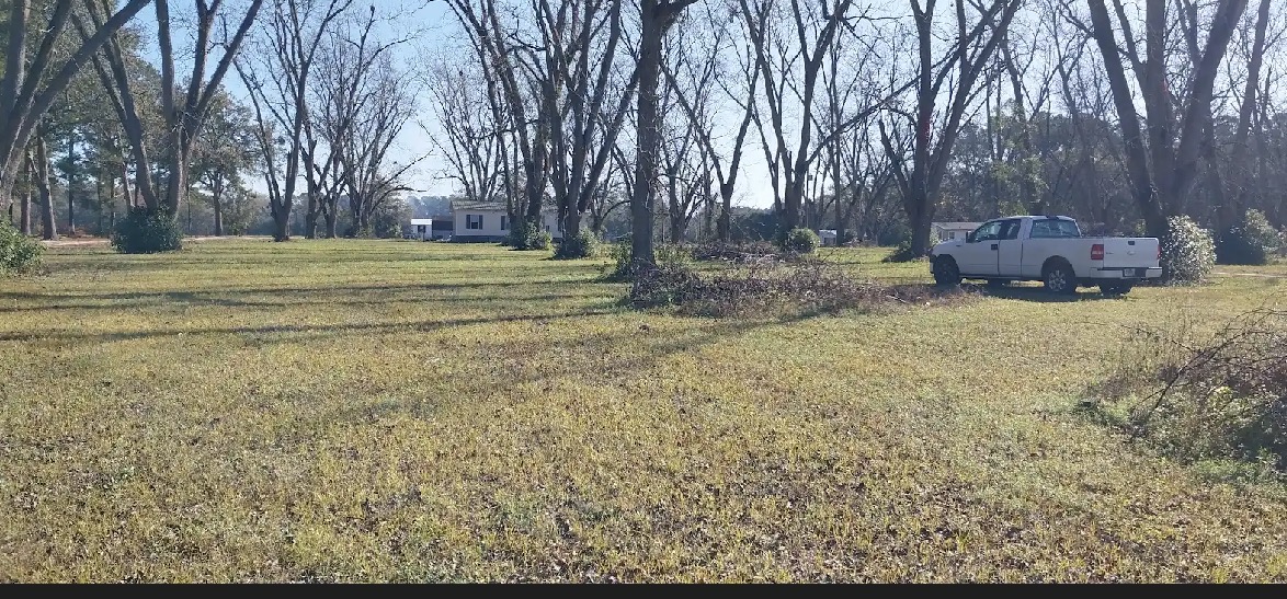 Large residential lawn freshly mowed with pecan trees