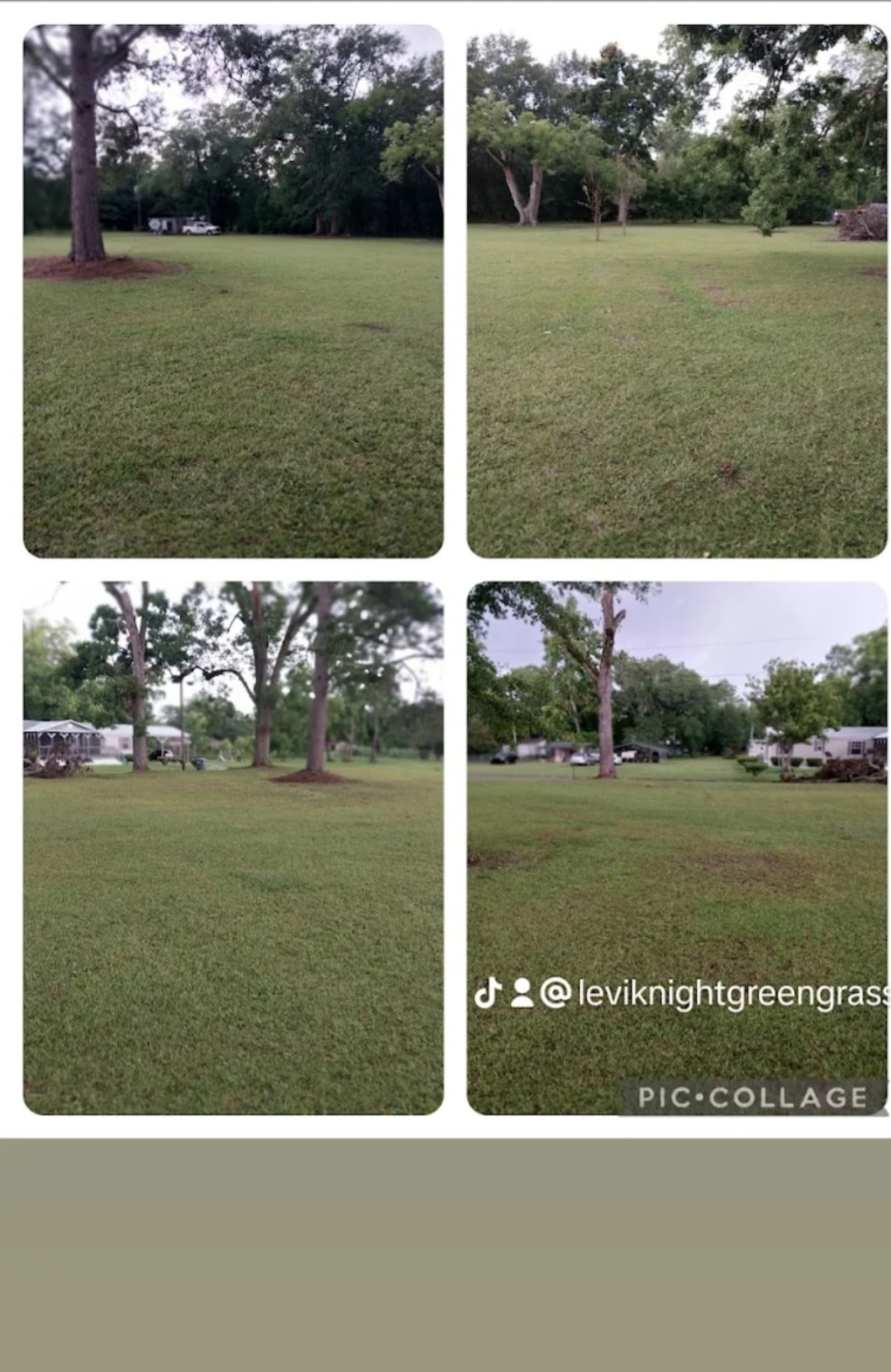 Large tree-shaded residential lawn freshly cut