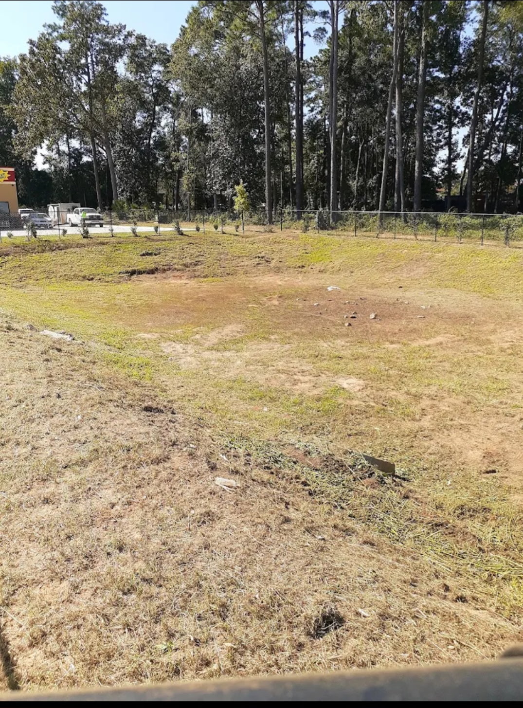 Commercial lot cleared and prepped with new plantings