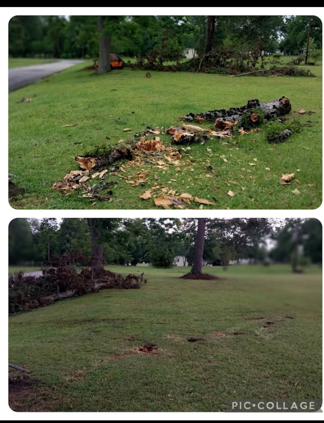 Stump grinding and lawn cleanup before and after