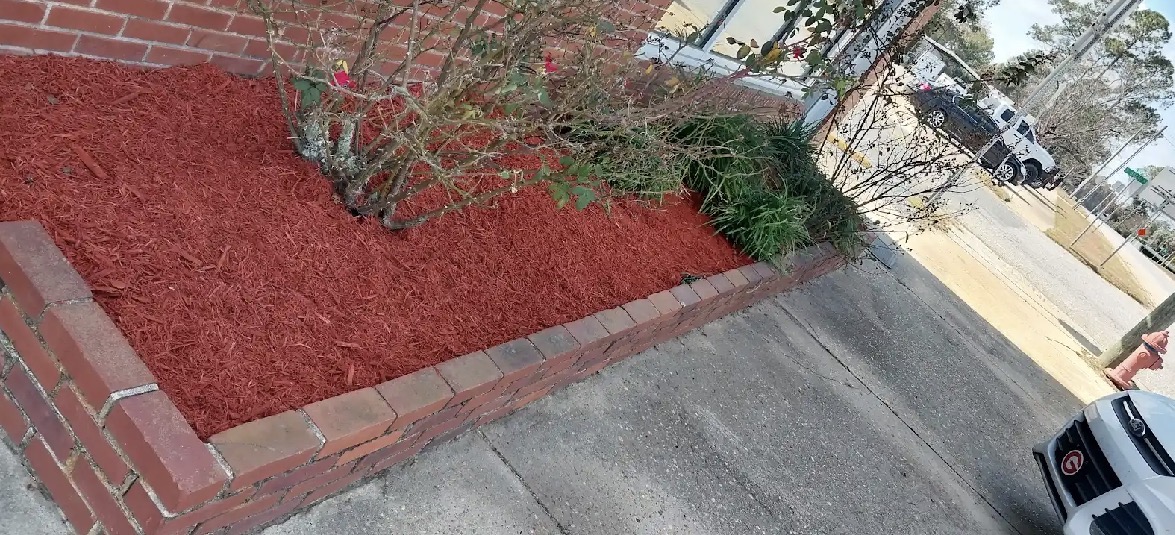 Fresh red mulch installation in commercial brick planter