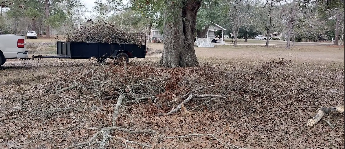 Yard debris and limb cleanup with hauling trailer