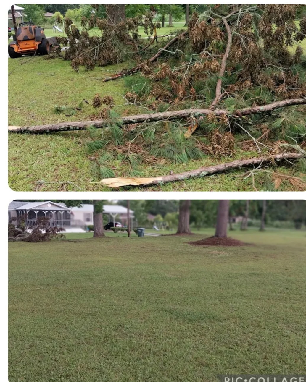 Storm cleanup and tree limb removal before and after