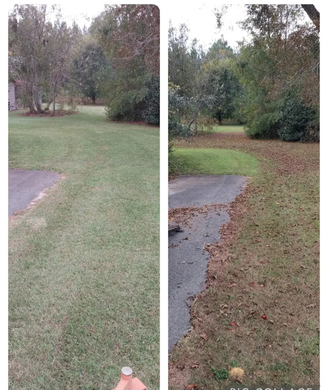 Leaf and yard debris cleanup before and after